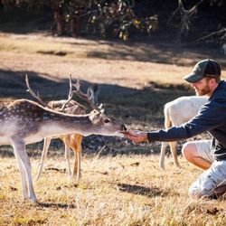 Santa Rosa Ranch - Come and help our antlers grow! Get a hands on experience with exotic wildlife at the Santa Rosa Ranch.
