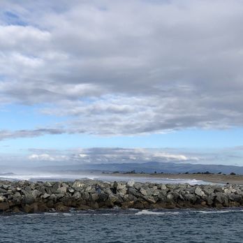 Blue Ocean Whale Watch - Whale Watching Tours Near Me - Moss Landing, California
