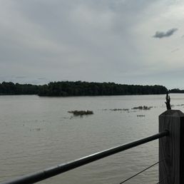 The view