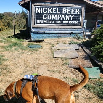 Nickel Beer Company - outside - Breweries Near Me - Julian, California Nickel Beer Company - outside - Breweries Near Me - Julian, California