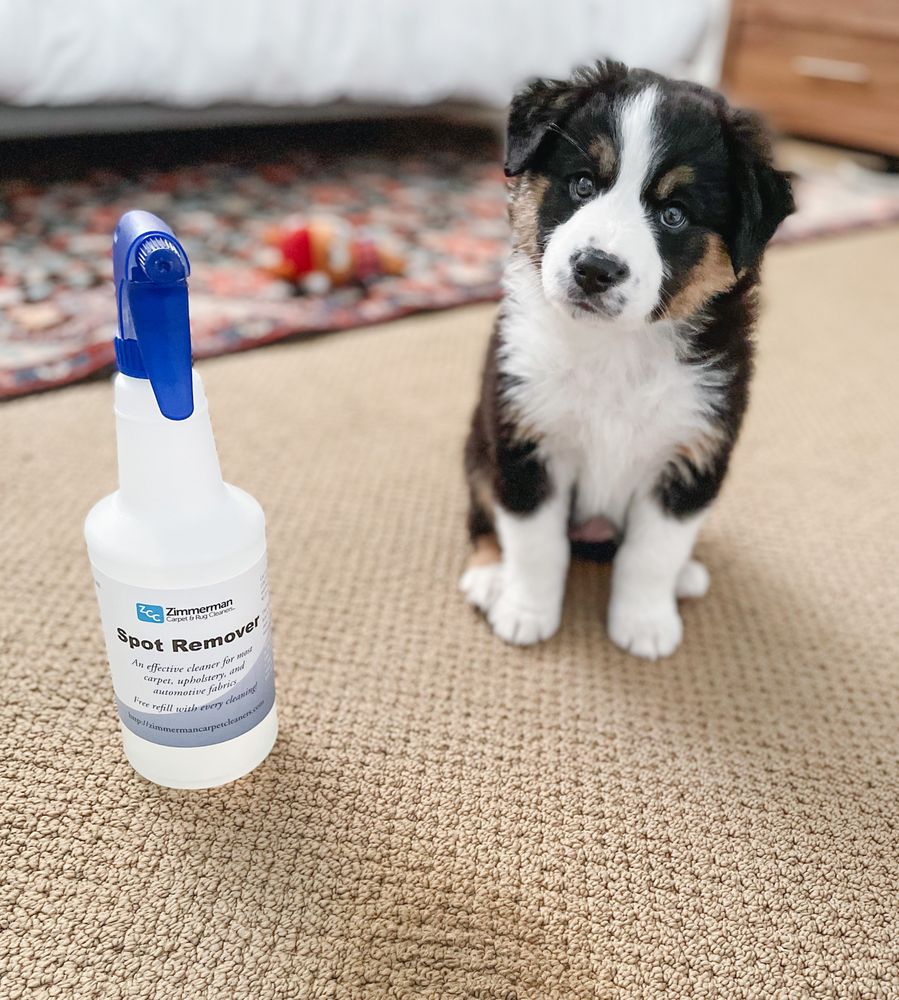 ZIMMERMAN CARPET & RUG CLEANERS Updated August 2024 27 Photos & 11