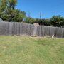 Photo of Rock Around Tree Service