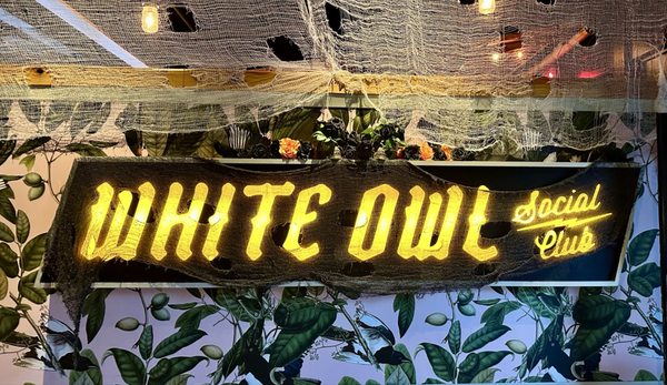 White Owl Social Club by null