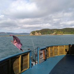 Rock The Boat Bay Of Islands Adventure Cruises