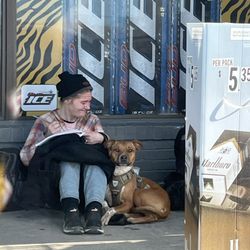 Tiger Market - A lot of loitering