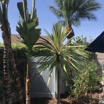 Reynaldo Landscape Inc. - Landscaping Near Me - La Habra, California Reynaldo Landscape Inc. - Landscaping Near Me - La Habra, California