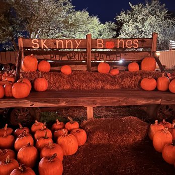SKINNY BONES PUMPKIN PATCH - Updated October 2025 - 125 Photos & 33