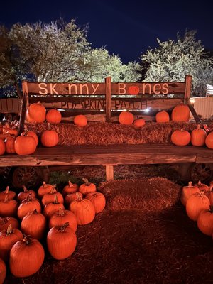 SKINNY BONES PUMPKIN PATCH - Updated October 2025 - 125 Photos & 33 Reviews - 3935 Hwy 133
