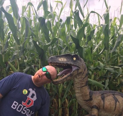 Great Vermont Corn Maze by null