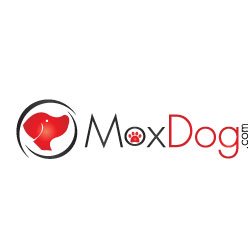 MoxDog Media Solutions - Building Online Businesses