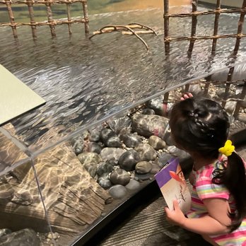 Hibulb Cultural Center - Water exhibit looked so real! Beautiful - Museums Near Me - Tulalip, Washington