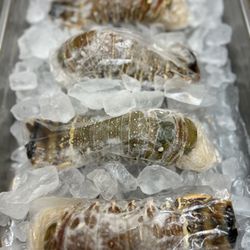 The Old Fish House - Lobster tail