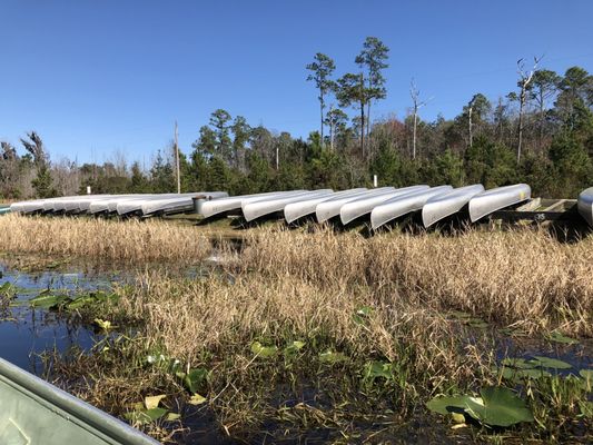 Stephen C Foster State Park by null