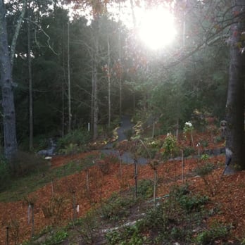 Rombauer Vineyards - Sun setting on Rombauer - Wineries Near Me - St. Helena, California