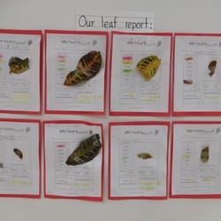 iKids Preschools - VPK Student work on a Leaf Report