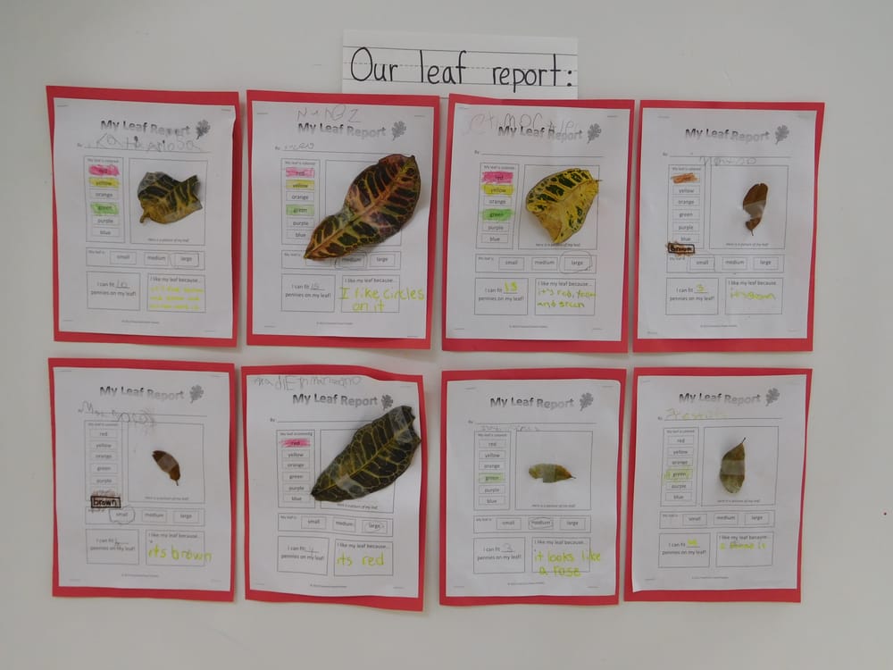 iKids Preschools - childcare center in Miami, FL