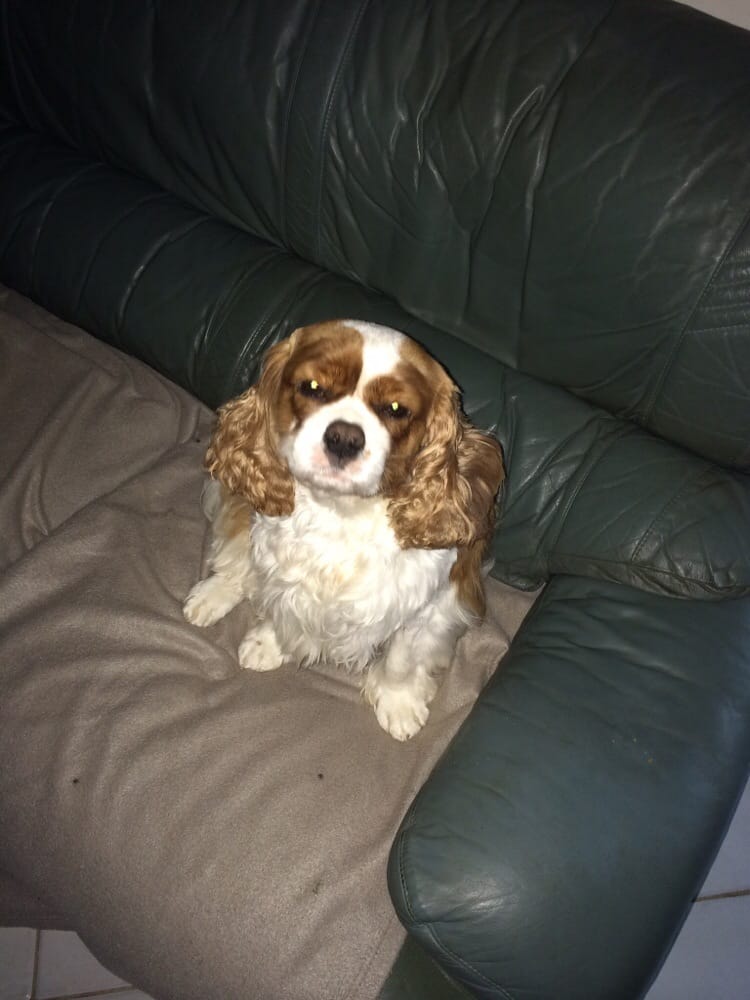 o Jupiter Florida Real Estate For Sale