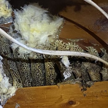 Smart Pest Control - Pest Control Near Me