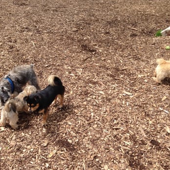 Cabin John Dog Park - Small dog park - Dog Parks Near Me - Bethesda, Maryland