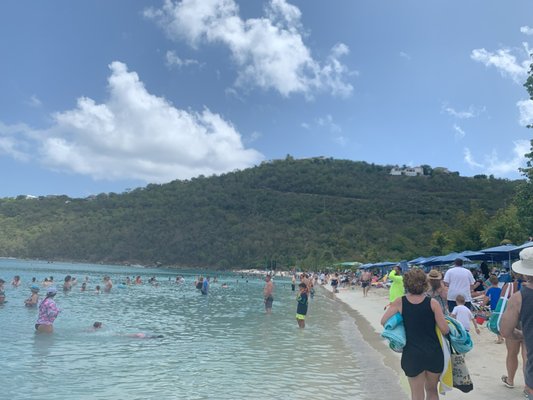 Magens Bay Beach by null