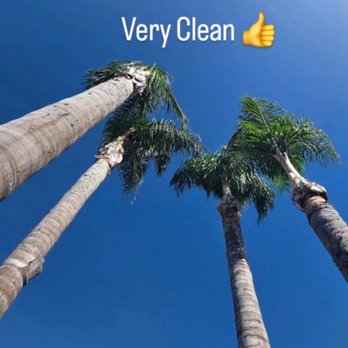 Joel's Tree Service - Tree Services Near Me Joel's Tree Service - Tree Services Near Me