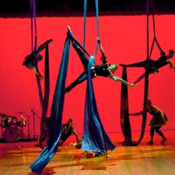 Host Of Sparrows Aerial Dance & Circus Arts
