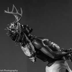 The Latin Ballet of Virginia