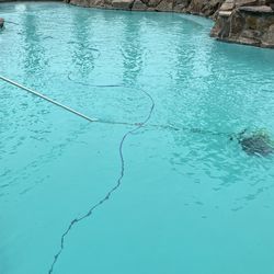 Always Pools - Keeping the pool clean always.