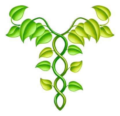 Washington Institute Of Natural Medicine