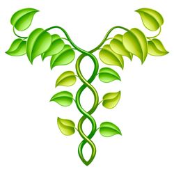 Washington Institute Of Natural Medicine - WINM
Logo