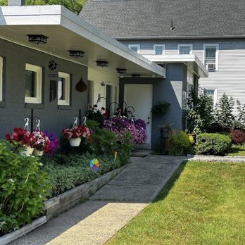 Wolfy Dental Group - Wolfy Dental Group - Pediatric Dentists Near Me - Wallingford, Connecticut