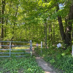 Linwood School Forest & Community Park