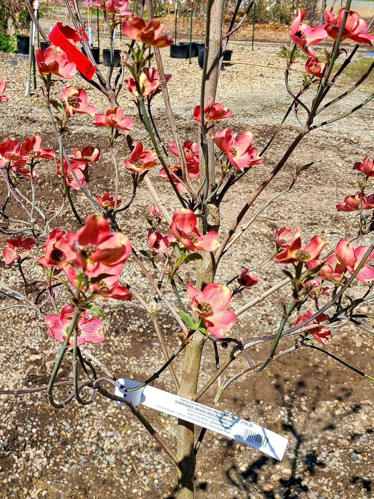 LODI FARMS Updated October 2024 17 Photos & 20 Reviews 2880 S