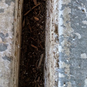 Bay Pest - Garage concrete joints full of termites - Pest Control Near Me - Pleasanton, California Bay Pest - Garage concrete joints full of termites - Pest Control Near Me - Pleasanton, California