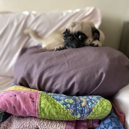 Relaxing after her spa day