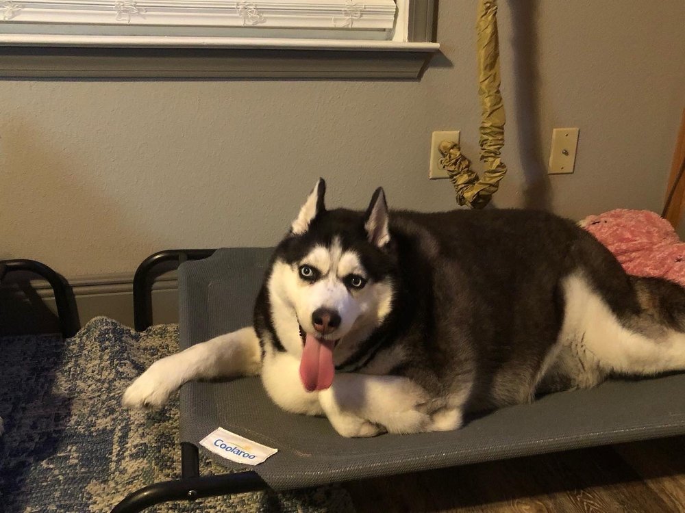 VETERINARY HOSPITAL Updated September 2024 27351 Highway