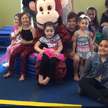 The Jungle Gym - Party & Event Planning Near Me - Burien, Washington The Jungle Gym - Party & Event Planning Near Me - Burien, Washington