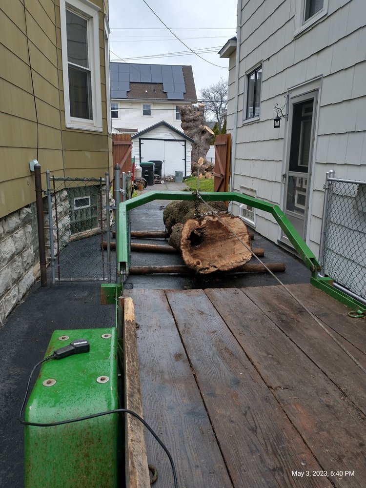 12 Photos Java Center, New York Tree Services Phone Number Yelp