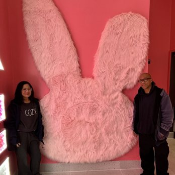 Ume Tea - Big fuzzy bunny! - Bubble Tea Near Me - Fremont, California Ume Tea - Big fuzzy bunny! - Bubble Tea Near Me - Fremont, California