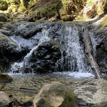Uvas Canyon County Park - Along the waterfall loop - Parks Near Me - Morgan Hill, California
