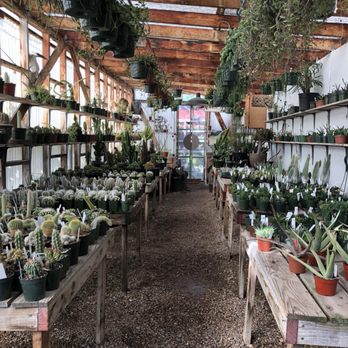 The Dry Garden - Nurseries & Gardening Near Me - Oakland, California The Dry Garden - Nurseries & Gardening Near Me - Oakland, California