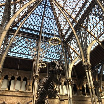 Pitt Rivers Museum - Museums Near Me - Oxford, OXF Pitt Rivers Museum - Museums Near Me - Oxford, OXF