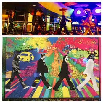 Mellow Mushroom Brandon - You just have to dig the atmosphere of the Mellow Mushroom! - Pizza Near Me - Brandon, Florida