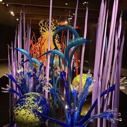 Chihuly Collection