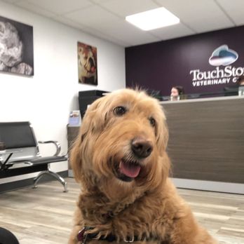 TouchStone Veterinary Center - Veterinarians Near Me - Morganville, New Jersey TouchStone Veterinary Center - Veterinarians Near Me - Morganville, New Jersey
