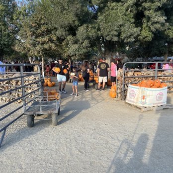 Banducci's Family Pumpkin Patch - Pumpkin Patches Near Me - Bakersfield, California Banducci's Family Pumpkin Patch - Pumpkin Patches Near Me - Bakersfield, California