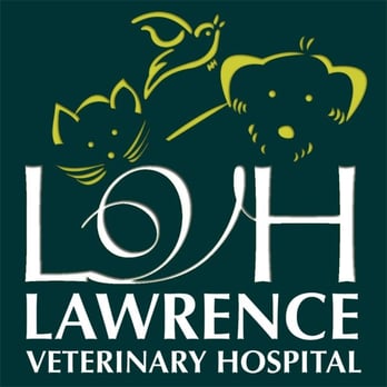 Lawrence Veterinary Hospital - Veterinarians Near Me - Lawrence, Kansas Lawrence Veterinary Hospital - Veterinarians Near Me - Lawrence, Kansas