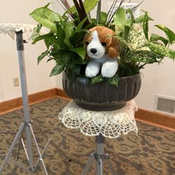 Pittsford Florist