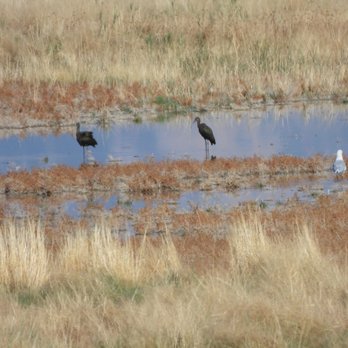 Antelope Island State Park - Hiking Near Me - Syracuse, Utah Antelope Island State Park - Hiking Near Me - Syracuse, Utah