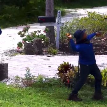 Dalton's Landscape Service - Daltons throwing our fruit around neighborhood - Landscaping Near Me - Englewood, Florida